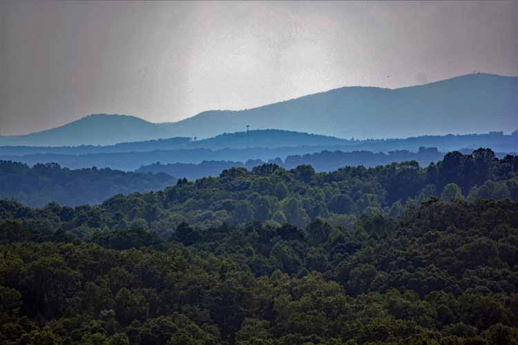 Wolf Mountain Winery & Vineyards is just a few miles from Dahlonega and offers stunning views of the North Georgia Mountains. It was featured in the June 2021 issue of Southern Living magazine.